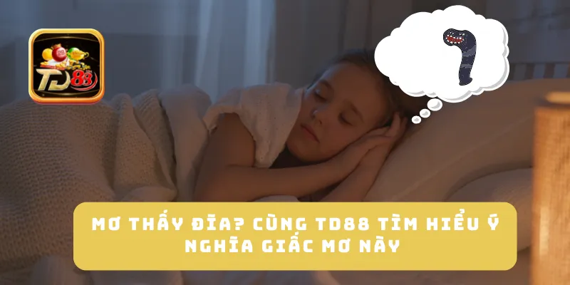 Mơ Thấy Đĩa? Cùng TD88 Tìm Hiểu Ý Nghĩa Giấc Mơ Này